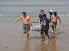 Ảnh bìa bài viết 744632