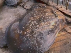 Ảnh bìa bài viết 744764