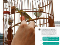 Ảnh bìa bài viết 744935