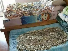 Ảnh bìa bài viết 745147