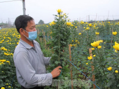 Ảnh bìa bài viết 745339