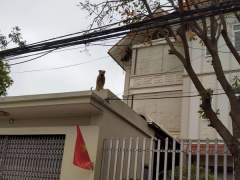 Ảnh bìa bài viết 745575