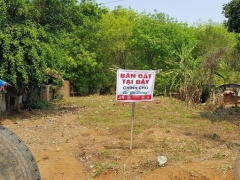 Ảnh bìa bài viết 745866