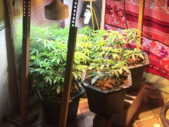 Ảnh bìa bài viết 745734