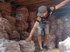 Ảnh bìa bài viết 745775