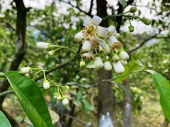 Ảnh bìa bài viết 746045