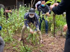 Ảnh bìa bài viết 745950
