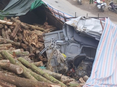 Ảnh bìa bài viết 746184