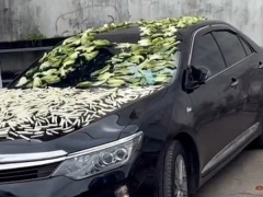Ảnh bìa bài viết 746226