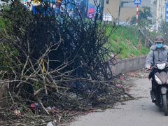 Ảnh bìa bài viết 746916