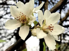 Ảnh bìa bài viết 747070