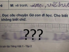 Ảnh bìa bài viết 747202
