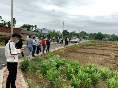 Ảnh bìa bài viết 747527