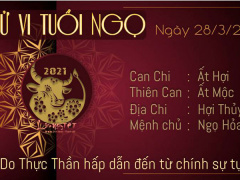 Ảnh bìa bài viết 747363