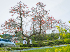 Ảnh bìa bài viết 747637