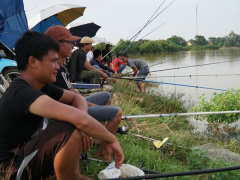 Ảnh bìa bài viết 747878