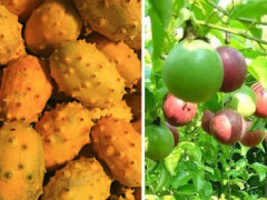 Ảnh bìa bài viết 747989