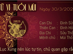 Ảnh bìa bài viết 747832