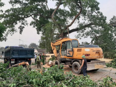 Ảnh bìa bài viết 748324