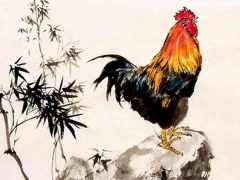 Ảnh bìa bài viết 748388