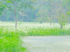 Ảnh bìa bài viết 748729