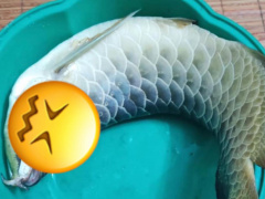 Ảnh bìa bài viết 748629