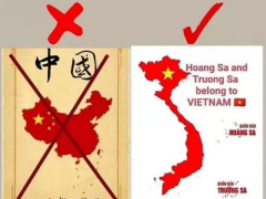 Ảnh bìa bài viết 748929