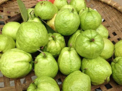 Ảnh bìa bài viết 749033