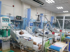 Ảnh bìa bài viết 749067