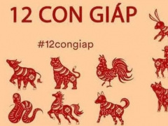 Ảnh bìa bài viết 749190