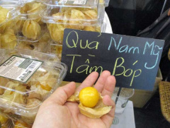 Ảnh bìa bài viết 749283