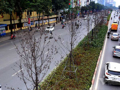 Ảnh bìa bài viết 749366