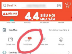 Ảnh bìa bài viết 749309