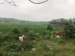 Ảnh bìa bài viết 749609