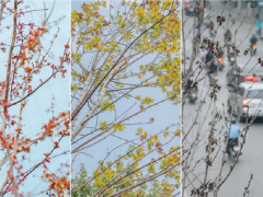 Ảnh bìa bài viết 749475