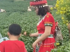 Ảnh bìa bài viết 749653