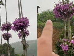 Ảnh bìa bài viết 749633