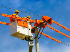 Ảnh bìa bài viết 749871