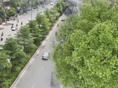 Ảnh bìa bài viết 749762