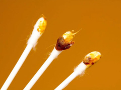 Ảnh bìa bài viết 750498