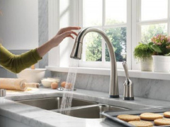 Ảnh bìa bài viết 750654