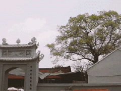 Ảnh bìa bài viết 750920