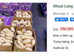 Ảnh bìa bài viết 750863