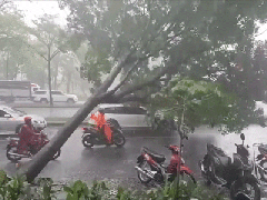Ảnh bìa bài viết 751263