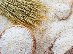 Ảnh bìa bài viết 751143