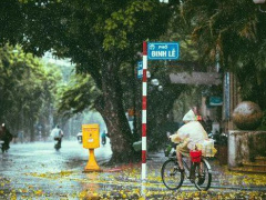 Ảnh bìa bài viết 751540