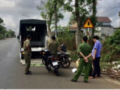 Ảnh bìa bài viết 751519
