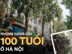 Ảnh bìa bài viết 751614