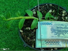 Ảnh bìa bài viết 751631
