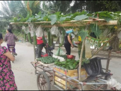 Ảnh bìa bài viết 752184